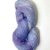 Northern Gentian