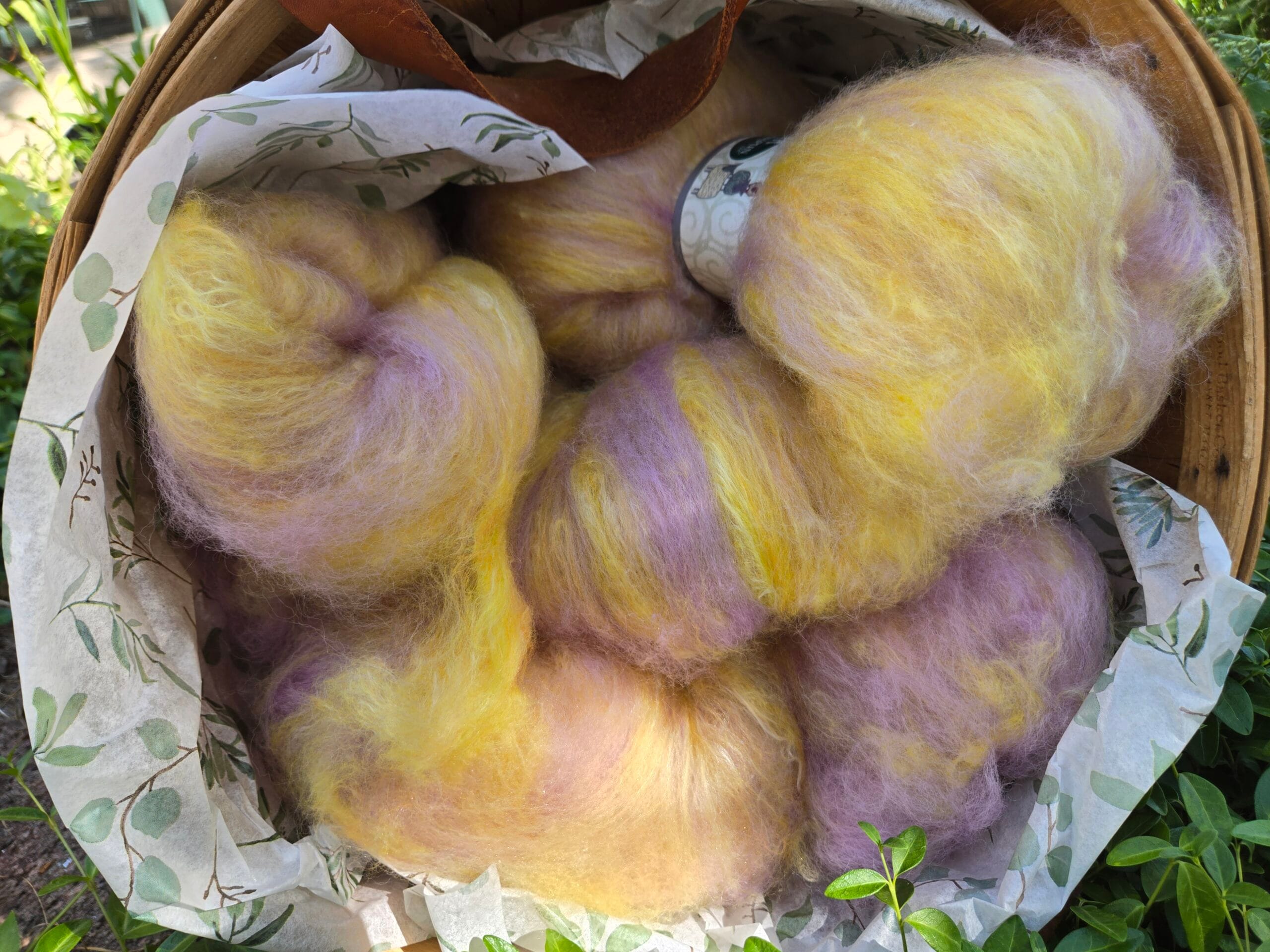 Savings Club Fiber - Daydreamer