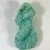Turquoise Succulent