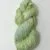 Green Sprout