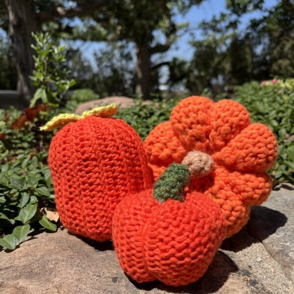 Crochet or Knit a Pumpkin! September 5 (Ticket)