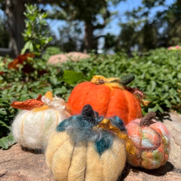 Needle Felted Pumpkins - October 23 (Ticket)